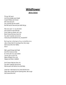 Billie Eilish Wildflower Lyrics
