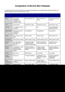 Bovine Skin Diseases Comparison