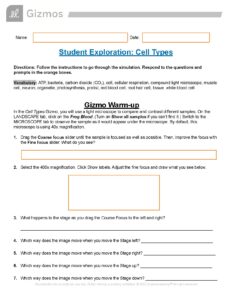 Gizmos Student Exploration: Cell Types