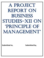 Business Studies Project On Principle Of Management