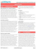Jane Eyre Litchart
