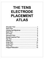 pdf-cover-809.jpg