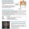 Thumbnail for Gluteal Tendinopathy Exercises