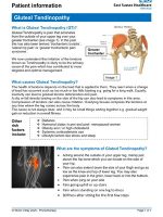 Thumbnail for Gluteal Tendinopathy Exercises