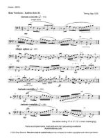 Thumbnail for Bass Trombone - Audition Solo 3C