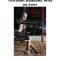 Thumbnail for Novel 13 Reasons Why