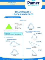 Thumbnail for TRIÁNGULOS Y LÍNEAS NOTABLES