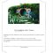 Thumbnail for Hobbit Book Study Guide