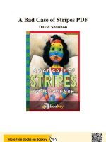 Thumbnail for A Bad Case Of Stripes Summary
