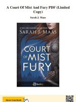 Thumbnail for A Court Of Mist And Fury Summary