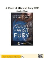Thumbnail for A Court Of Mist And Fury Summary