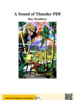 Thumbnail for A Sound Of Thunder Summary