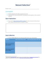 Thumbnail for Activity Sheet Natural Selection