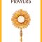 Thumbnail for Holy Hour Adoration Prayers