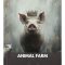 Thumbnail for Animal Farm By George Orwell