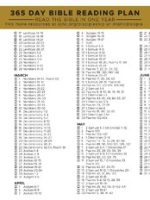 Thumbnail for 365 Day Bible Reading Plan ​