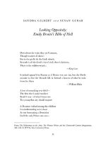 Thumbnail for Wuthering Heights (Bloom's Modern Critical Interpretations)