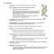 Thumbnail for Vocabulary: Building DNA Gizmo