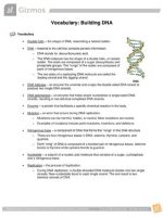 Thumbnail for Vocabulary: Building DNA Gizmo