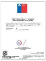 Thumbnail for Certificado De Estudios EnseñAnza Media Completa