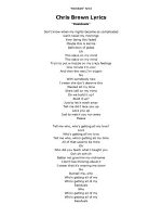 Thumbnail for Chris Brown Residuals Lyrics