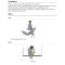 Thumbnail for Epley Maneuver At Home For Vertigo Exercises