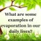 Thumbnail for Examples Of Evaporation In Our Daily Lives