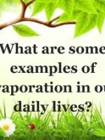 Thumbnail for Examples Of Evaporation In Our Daily Lives