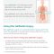 Thumbnail for Post Gallbladder Surgery Diet Menu​