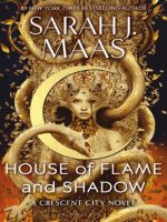 Thumbnail for House Of Flame And Shadow