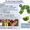 Thumbnail for Hungry Caterpillar