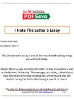 Thumbnail for I Hate The Letter S Essay