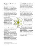 Thumbnail for What is Multidisciplinary Integrated Curriculum?
