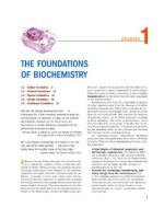 Thumbnail for Lehninger Principles Of Biochemistry 7th Edition