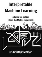Thumbnail for Molnar Interpretable Machine Learning