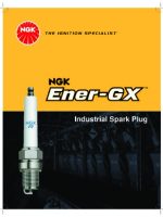 Thumbnail for NGK Industrial Spark Plug Catalog