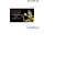 Thumbnail for Jeet Kune Do For Beginners Hua Cheng Fu