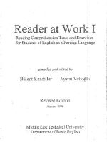 Thumbnail for Odtü Reader At Work 1