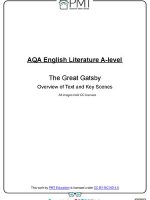 Thumbnail for The Great Gatsby Overview of Text and Key Scenes