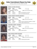 Thumbnail for Peoria County Jail Booking Sheet