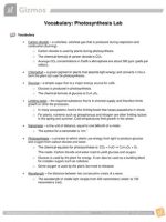 Thumbnail for Vocabulary: Photosynthesis Lab Gizmo