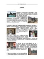 Thumbnail for Pictorial Essay 10