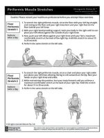 Thumbnail for Piriformis Muscle Stretches