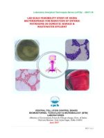 Thumbnail for Lab Scale Feasibility Study Of Using Bacteriophage