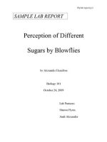 Thumbnail for Sample Bio Lab Report Example