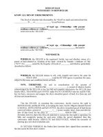 Thumbnail for Sample Deed Of Absolute Sale With Right To Repurchase