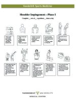 Thumbnail for Shoulder Impingement Phase I Exercises