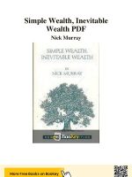 Thumbnail for Simple Wealth Inevitable Wealth PDF