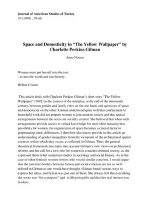 Thumbnail for Space and Domesticity in “The Yellow Wallpaper”