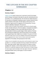 Thumbnail for THE CATCHER IN THE RYE CHAPTER SUMMARIES